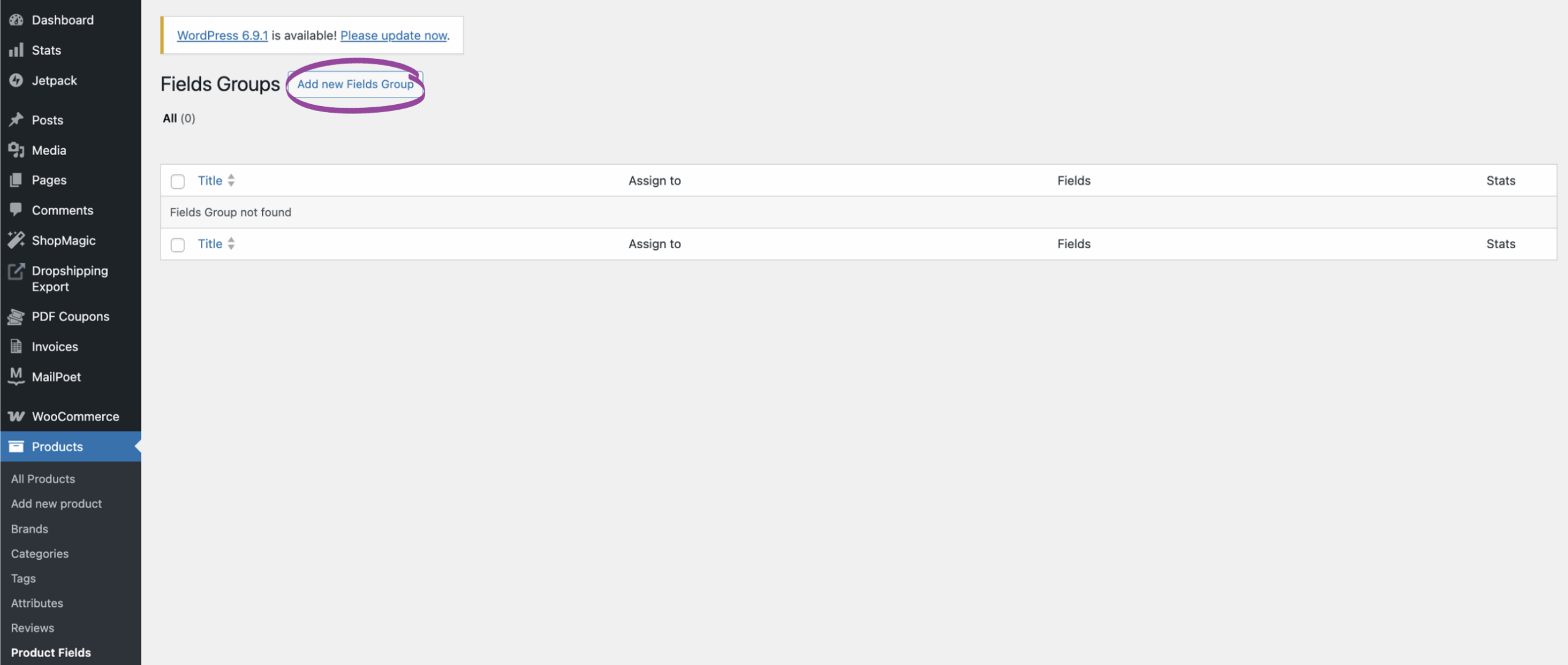 Add New Field Group button highlighted in the custom fields management interface
